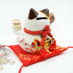 福緣貓 開運 達磨 招財貓 錢箱(小)